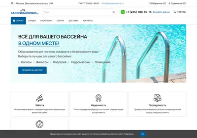 Снимок главной страницы basseiniservis.ru
