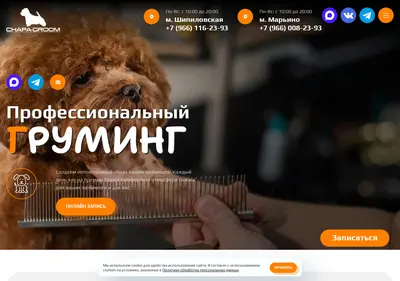 Снимок главной страницы chapa-groom.ru