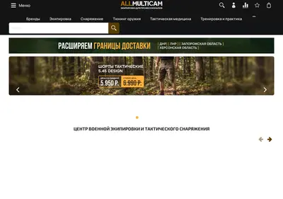 Снимок главной страницы allmulticam.ru
