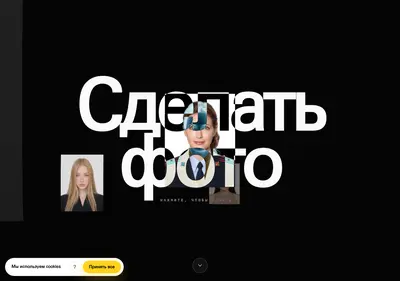 Снимок главной страницы birdphoto.ru