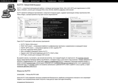 Снимок главной страницы putty.org.ru
