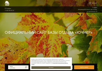 Снимок главной страницы baza-petushki33.ru