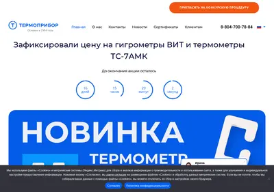 Снимок главной страницы thermopribor.su