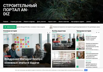 Снимок главной страницы an-diz.ru
