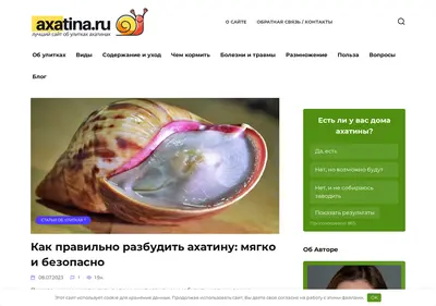 Снимок главной страницы axatina.ru