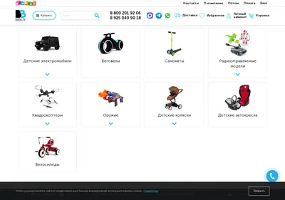 Снимок главной страницы bibuy.ru