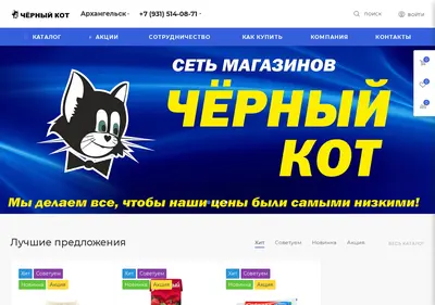 Снимок главной страницы black-kot.ru