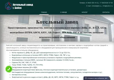 Снимок главной страницы bzkivo.ru