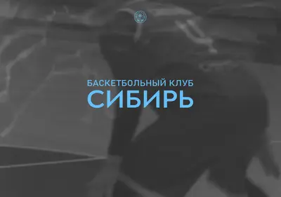 Снимок главной страницы bcsiberia.ru