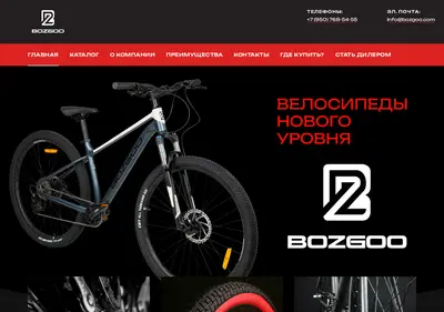 Снимок главной страницы bozgoo.ru