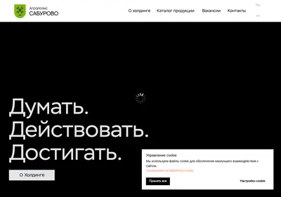 Снимок главной страницы apsaburovo.ru