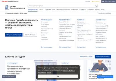 Снимок главной страницы 1prombez.ru