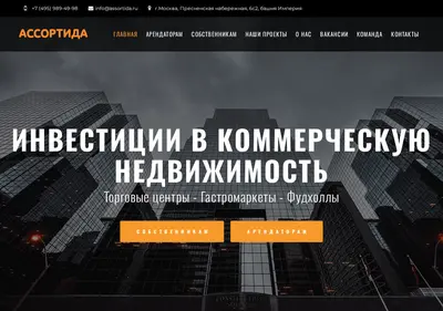 Снимок главной страницы assortida.ru