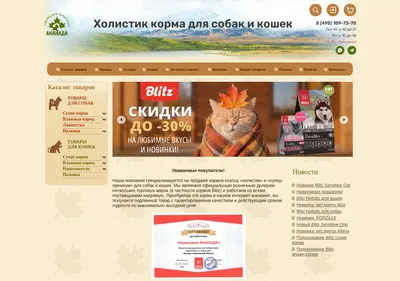 Снимок главной страницы acanada.ru