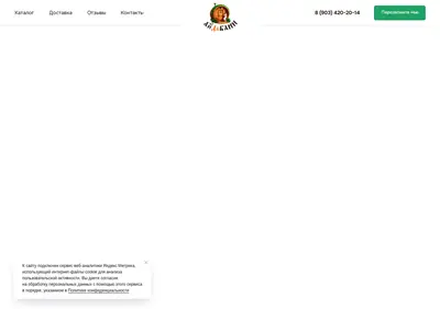 Снимок главной страницы aydabany.ru