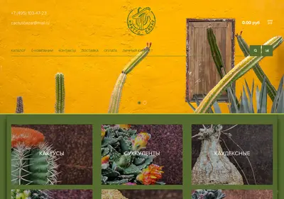 Снимок главной страницы cactusbazar.ru