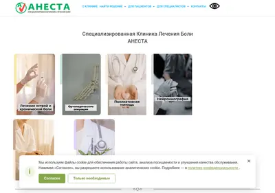 Снимок главной страницы anesta29.ru