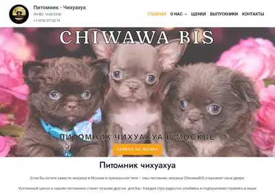 Снимок главной страницы chiwawabis.ru