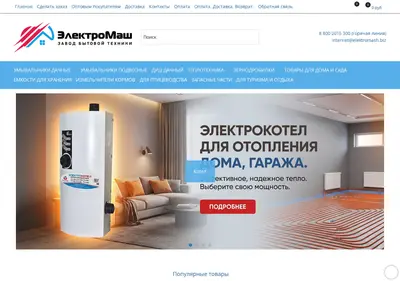 Снимок главной страницы biz300.ru