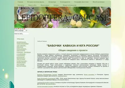 Снимок главной страницы babochki-kavkaza.ru
