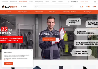 Снимок главной страницы baltsafety.ru