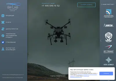 Снимок главной страницы brlab.ru