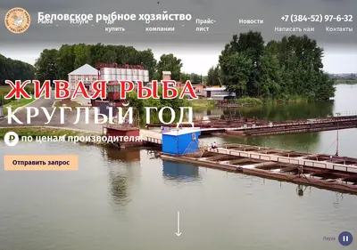 Снимок главной страницы belovofish.ru