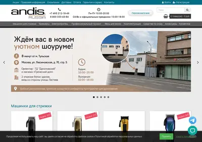 Снимок главной страницы andisrussia.ru