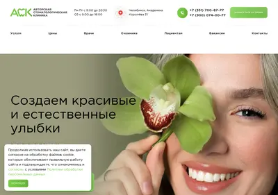 Снимок главной страницы ask74.ru