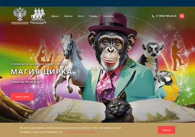 Снимок главной страницы circus-abkhazia.ru