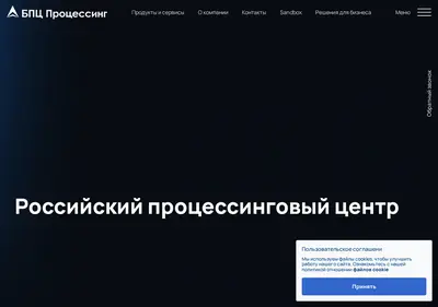 Снимок главной страницы bpsprocessing.ru