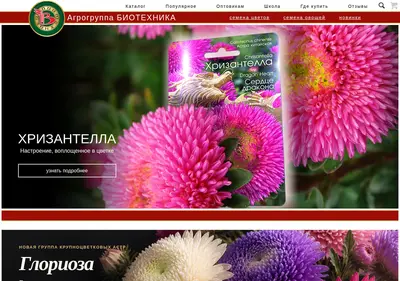 Снимок главной страницы biotechnica.ru