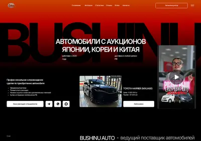 Снимок главной страницы bushinu.ru