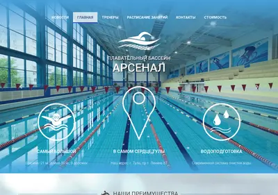 Снимок главной страницы bassein-tula.ru