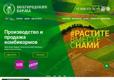 Снимок главной страницы belgorodkorma.ru