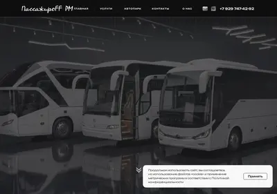 Снимок главной страницы 13bus.ru