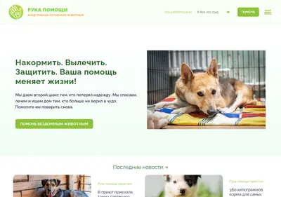 Снимок главной страницы woofmeow.su
