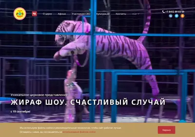 Снимок главной страницы circus-saratov.ru