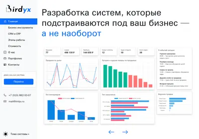 Снимок главной страницы birdyx.ru