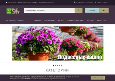 Снимок главной страницы 5179935.ru
