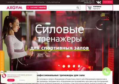 Снимок главной страницы axgym.ru