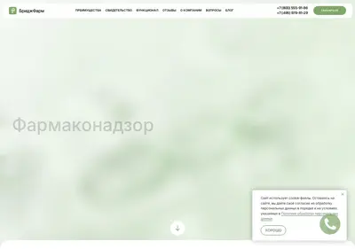 Снимок главной страницы bridgepharm.ru