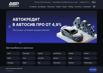 Снимок главной страницы autopro54.ru