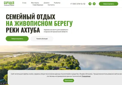 Снимок главной страницы borodey.ru