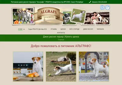 Снимок главной страницы algrafs.ru