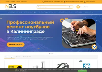 Снимок главной страницы nels.su