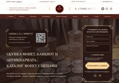 Снимок главной страницы auroracoins.ru