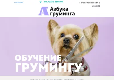Снимок главной страницы abcgrooming.ru