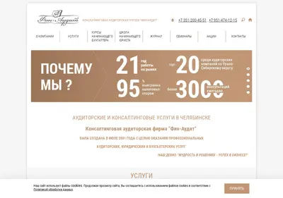 Снимок главной страницы auditfin.ru