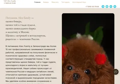 Снимок главной страницы alex-family.ru